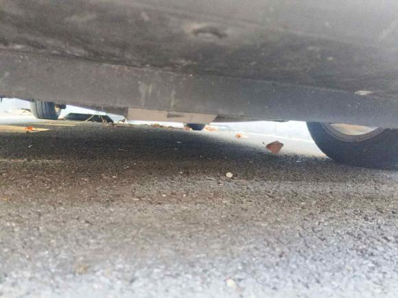 [南京·苏A] 二手MINIMINI2011款 1.6L COOPER Fun