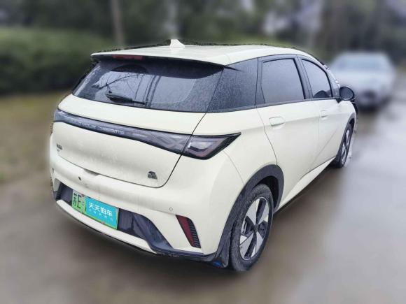 [湖州·苏E] 二手比亚迪海豚2023款 420km 自由版