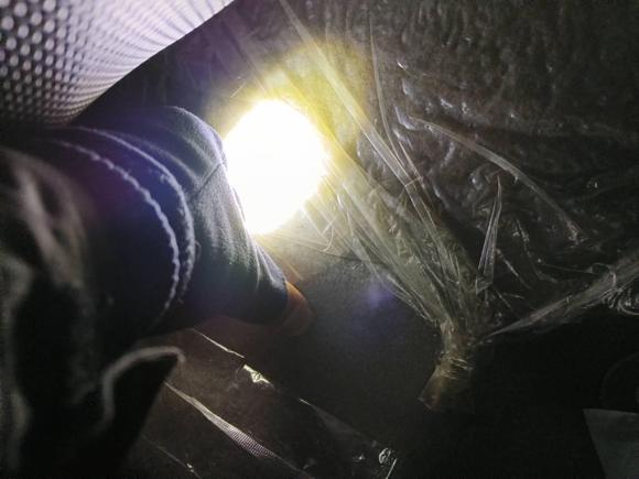 [合肥·皖A] 二手雷诺科雷傲2013款 2.5L 两驱舒适导航版