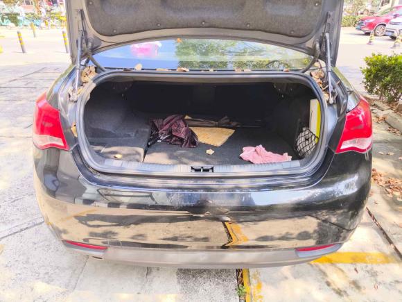 [上海·沪H] 二手荣威荣威e5502016款 旗舰版