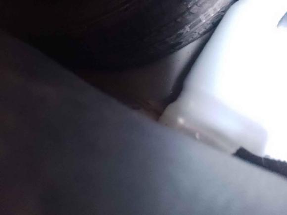 [杭州·浙G] 二手福特嘉年华2009款 两厢 1.5L 自动时尚型