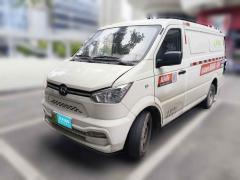 [温州·浙C] 新吉奥吉奥帅凌2023款 标准续航41.93kWh 天津恒天