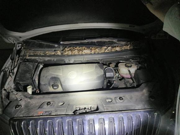 [南昌·闽D] 二手别克别克GL82013款 3.0L XT豪华商务旗舰版