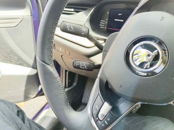 [上海·沪F] 二手斯柯达明锐2021款 PRO TSI280 DSG尊贵版