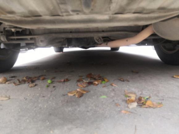 [上海·闽J] 二手本田雅阁2009款 2.4L LX