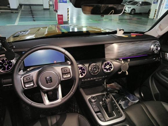 [上海·沪E] 二手坦克坦克3002022款 2.0T 边境限定版