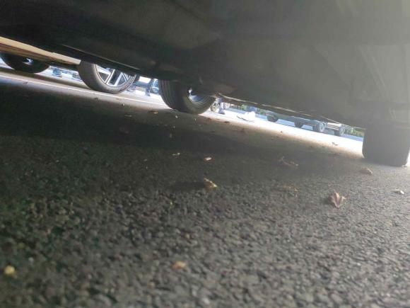 [金华·粤A] 二手启辰启辰星2020款 260T 自动48V轻混增压 星曜版