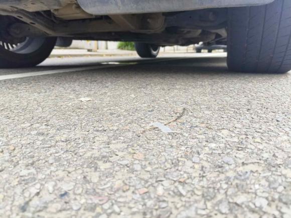 [温州·浙C] 二手路虎揽胜运动版2013款 3.0 TDV6 柴油版