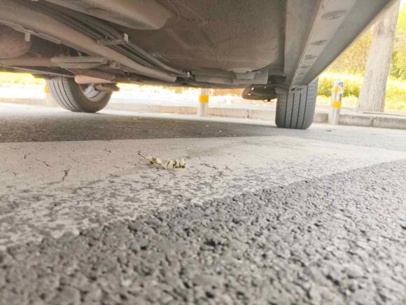 [北京·京N] 二手丰田卡罗拉2008款 1.8L 自动GL-i天窗特别版