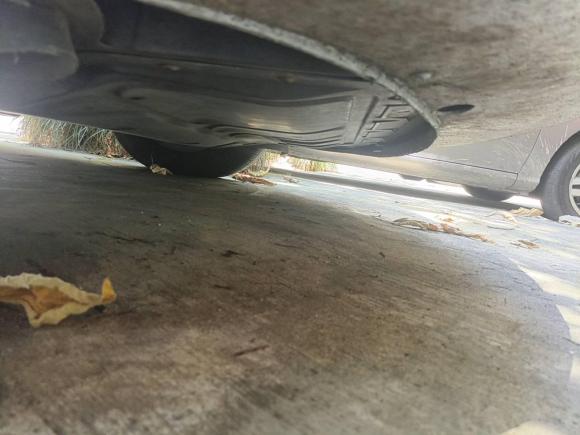 [杭州·浙A] 二手斯柯达明锐2012款 1.6L 自动逸杰版