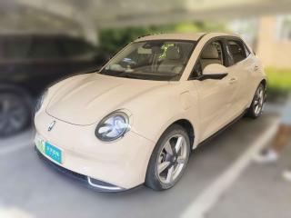 欧拉欧拉好猫2021款 400km标准续航 雅典娜版 磷酸铁锂