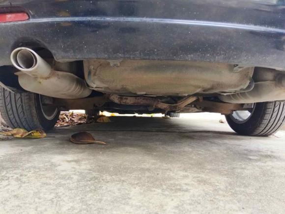 [广州·苏J] 二手马自达马自达62013款 2.0L 自动时尚型