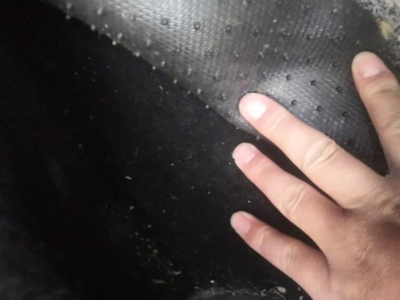 [常州·苏D] 二手雪铁龙爱丽舍2016款 1.6L 自动舒适型