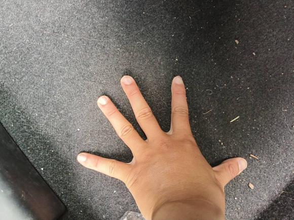 [合肥·皖A] 二手丰田凯美瑞2018款 2.0G 豪华版