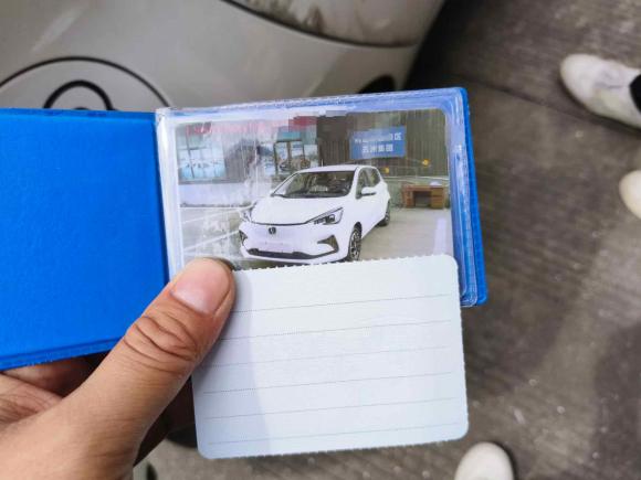 [温州·浙C] 二手长安长安奔奔E-Star2022款 赏心版 多彩款 磷酸铁锂