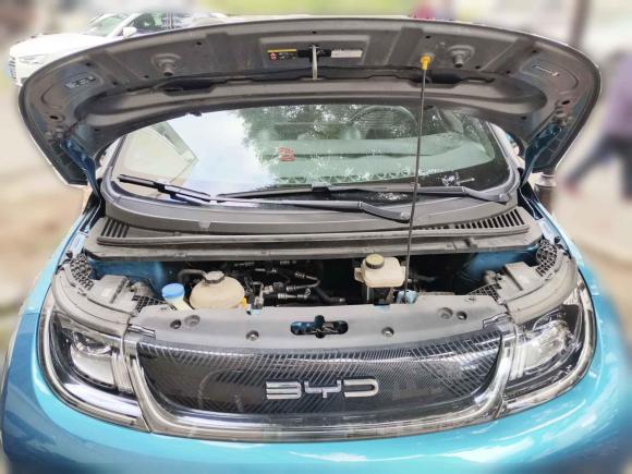 [合肥·皖A] 二手比亚迪海豚2021款 401km 骑士版