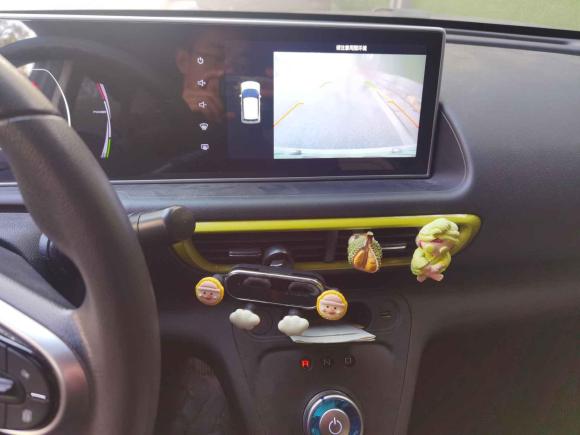 [杭州·浙A] 二手欧拉欧拉白猫2020款 305km 豪华型