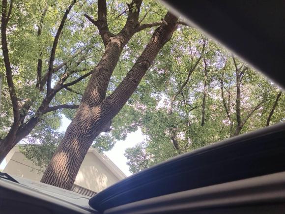 [上海·沪C] 二手日产骐达TIIDA2011款 1.6T 手动炫动版