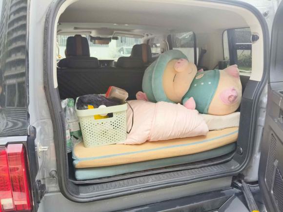 [济南·鲁A] 二手坦克坦克3002021款 越野版 2.0T 挑战者