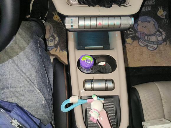 [合肥·皖A] 二手比亚迪海豚2023款 420km 时尚版