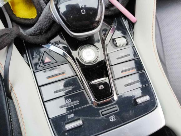 [上海·沪A] 二手比亚迪宋PLUS新能源2021款 EV 尊贵型