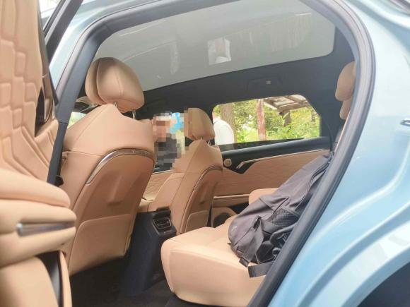 [武汉·鄂A] 二手岚图汽车岚图FREE2021款 四驱标准增程专属豪华套装