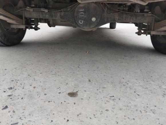 [上海·沪A] 二手远程远程E52019款 E5L 纯电动厢式运输车国轩39.9kWh