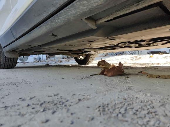 [济南·鲁A] 二手马自达马自达CX-42018款 2.0L 自动两驱蓝天活力版 国V