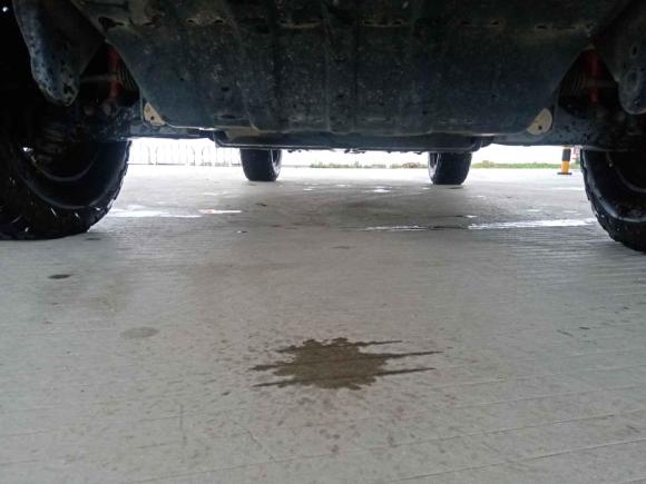 [佛山·川Y] 二手长城炮2019款 2.0T自动汽油四驱尊享版GW4C20B