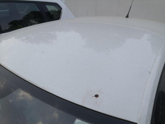 [成都·川A] 二手斯柯达昕动2016款 改款 1.6L 自动前行版