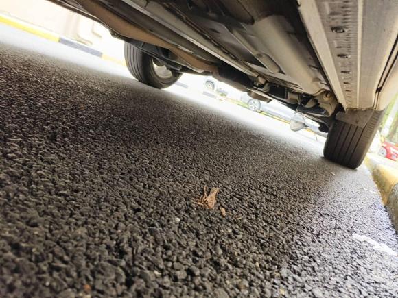 [上海·苏U] 二手日产逍客2016款 2.0L CVT精英版