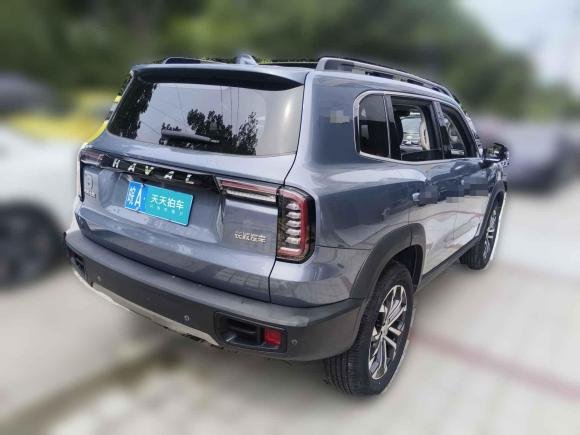 [合肥·皖A] 二手哈弗哈弗大狗2021款 1.5T DCT两驱边牧-旺财版