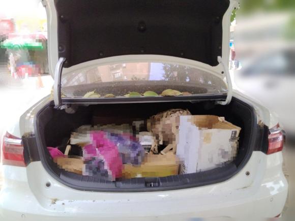 [西安·陕A] 二手比亚迪秦2019款 1.5L 自动豪华型