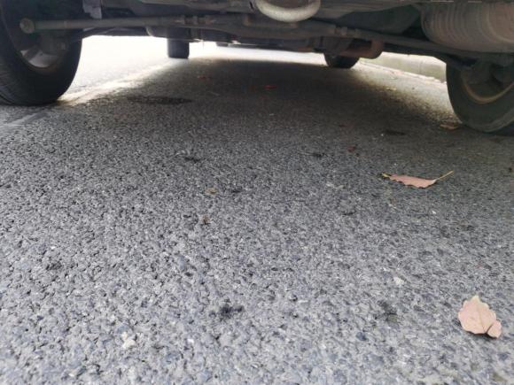 [上海·沪C] 二手起亚赛拉图2012款 1.6L AT GL