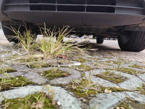 [无锡·苏B] 二手长安欧尚长安欧尚CX702016款 1.6L 手动豪华型