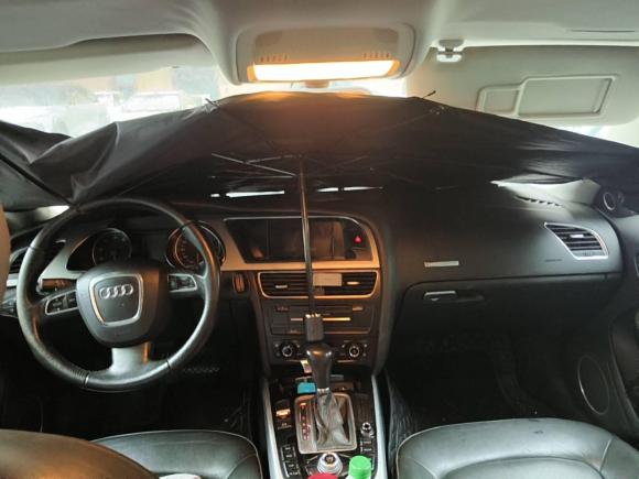 [湖州·浙E] 二手奥迪奥迪A52010款 2.0TFSI Sportback 技术型