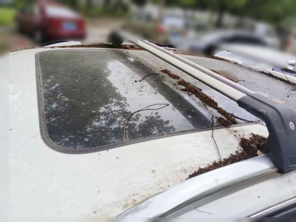 [嘉兴·浙F] 二手奥迪奥迪Q52015款 40 TFSI 进取型