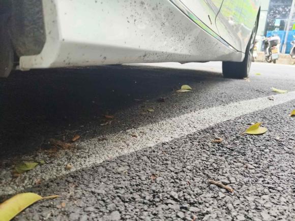 [杭州·豫Q] 二手本田英仕派2019款 260TURBO 精致版 国VI