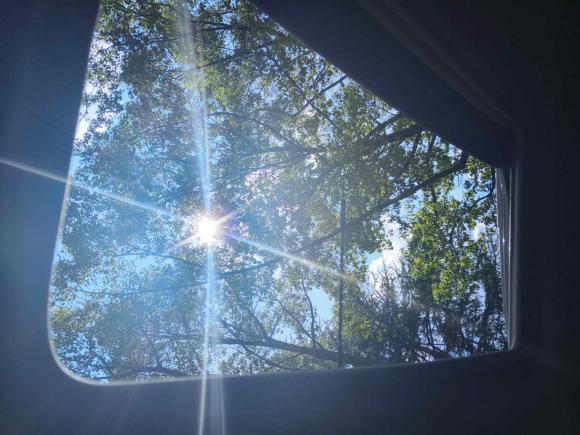 [上海·沪D] 二手福特翼搏2013款 1.5L 自动尊贵型