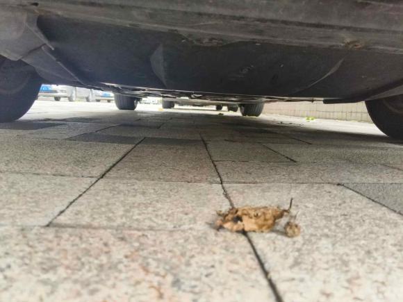 [南通·苏F] 二手标致标致5082015款 2.0L 自动致逸版