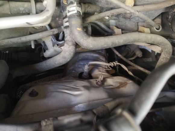 [宁波·浙B] 二手马自达马自达32008款 两厢 1.6标准型