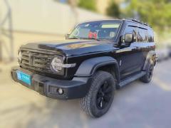 [济南·鲁A] 坦克坦克3002023款 越野版 2.0T 征服者