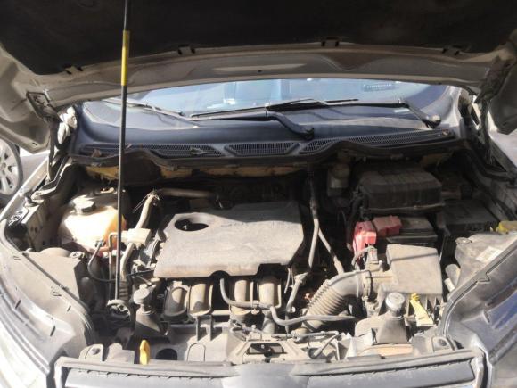 [金华·浙G] 二手福特翼搏2013款 1.5L 自动尊贵型