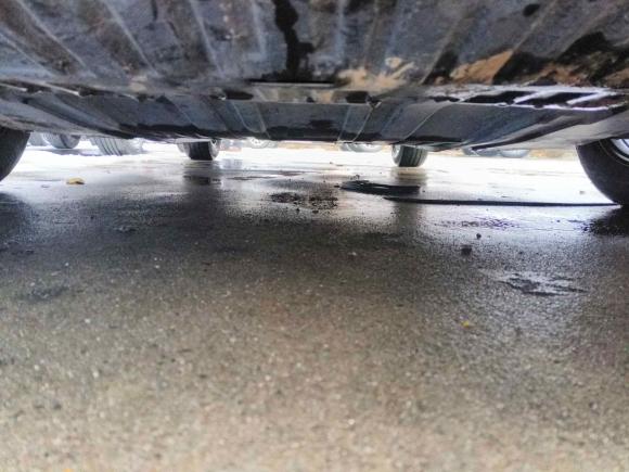 [合肥·苏C] 二手日产轩逸2021款 1.6L XL CVT悦享版