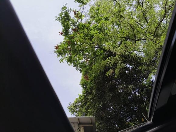 [西安·陕U] 二手雪佛兰迈锐宝XL2019款 Redline 550T 自动锐动版