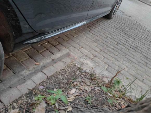 [上海·沪E] 二手奥迪奥迪A4L2019款 40 TFSI 时尚型 国VI