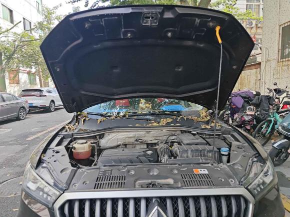 [深圳·湘E] 二手宝沃宝沃BX52017款 20TGDI 自动两驱新锐型