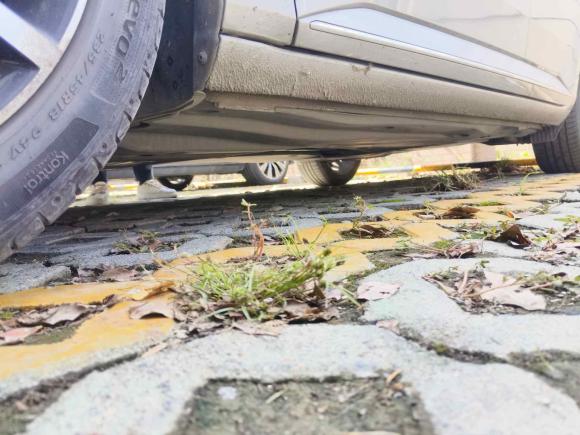 [上海·沪B] 二手斯柯达速派2016款 TSI280 DSG创行版