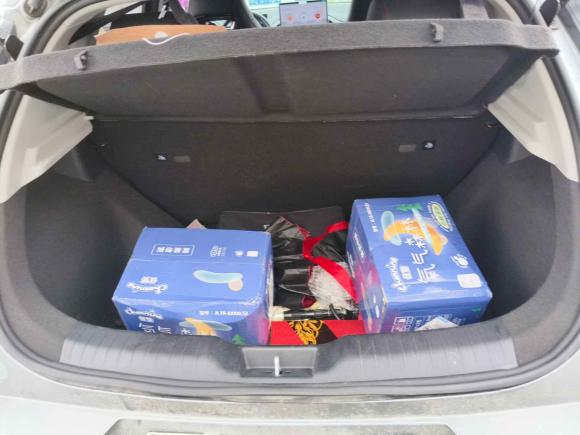 [温州·浙C] 二手比亚迪比亚迪e22023款 豪华型