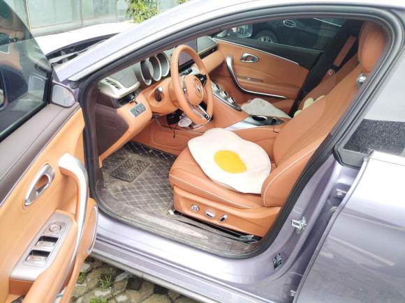 [芜湖·皖B] 二手欧拉欧拉闪电猫2022款 555km 尊贵版